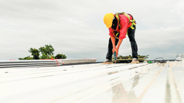 Best Emergency Roof Repair Services  in Roseland, OH